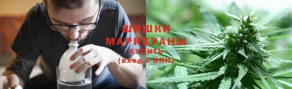 ГАЛЛЮЦИНОГЕННЫЕ ГРИБЫ Баксан