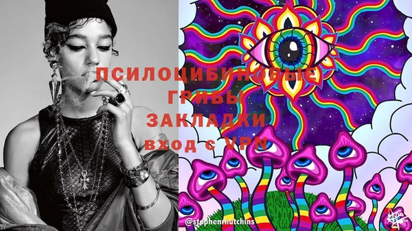 ГАЛЛЮЦИНОГЕННЫЕ ГРИБЫ Баксан
