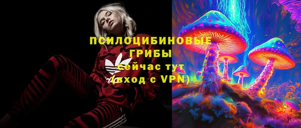 ГАЛЛЮЦИНОГЕННЫЕ ГРИБЫ Баксан