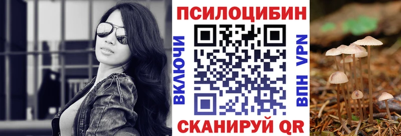 OMG tor  Усть-Джегута  Галлюциногенные грибы Magic Shrooms  что такое  
